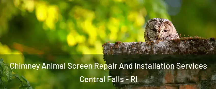  Chimney Animal Screen Repair And Installation Services Central Falls - RI