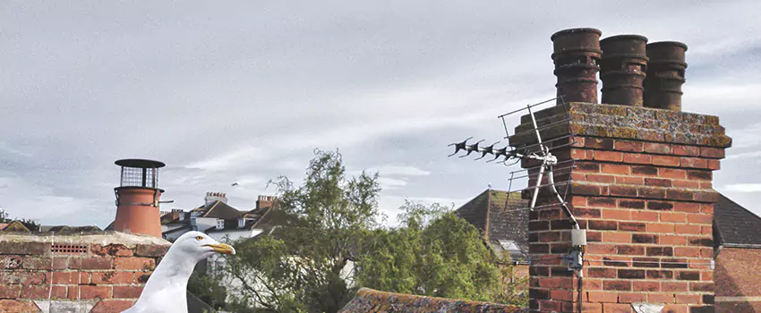 Chimney Cleaning And Restoration in Central Falls, Rhode Island